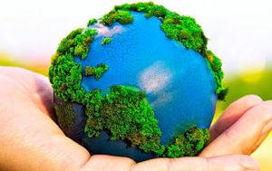 Metas que se pueden realizar para contribuir con la preservación del medio ambiente